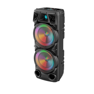 Haut-Parleur Portable Puissant Double 8 Pouces avec Éclairage RGB et Microphone Extérieur Sans Fil - Product Image 6