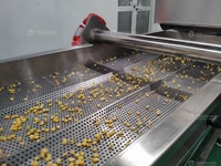 Ligne de production industrielle de maïs sucré en conserve : décorticage, blanchiment, lavage, déshydratation, emballage et traitement des grains de maïs.