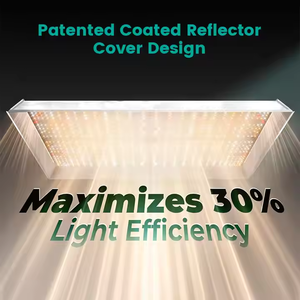Panel de Luz LED para Cultivo de Plantas, <span class=keywords><strong>Serie</strong></span> Quantum LM281B, 200W, Espectro Completo, Cuerpo de Aluminio, IP65, Aplicación Bloom, Chip COB, 5 Años, CRI95 - Product Image 3