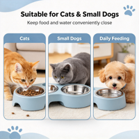 Mangeoire inclinée pour chiens et chats, angle de 15 degrés, pour petits chiens et chatons, alimentation quotidienne avec bols amovibles en acier inoxydable, gris