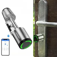 Serrure de porte électronique Euro étanche IP66 avec application TTLock, en acier/bois/laiton/acier inoxydable, serrure à cylindre intelligente avec carte IC