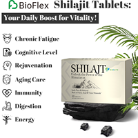 Comprimés de Shilajit Pur Naturel de l'Himalaya OEM, Riches en Acide Fulvique et Oligo-éléments, Boîte de 60 Comprimés en Vrac, Supplément Minéral en Boîte en Carton