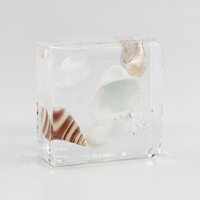 Vente en gros de coquillages incrustés naturels + spécimen de résine Grands coquillages en résine Artisanat naturel Cadeaux novateurs et créatifs