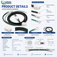 Kabel Kustom untuk Mesin Juicer, Perakitan Kabel Peralatan Rumah Tangga untuk Mesin Juicer