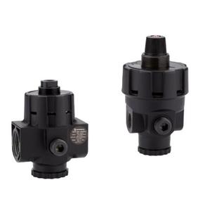 Regulador Manual de Alto Flujo Serie R24, Modelo R24-200-RNLA - Product Image 3
