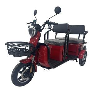 Tricycle électrique RACCEWAY E-BUS 2026, nouveau modèle, 1000W, 72V, 20AH, deux <span class=keywords><strong>places</strong></span>, frein à disque, entrepôt UE - Product Image 2