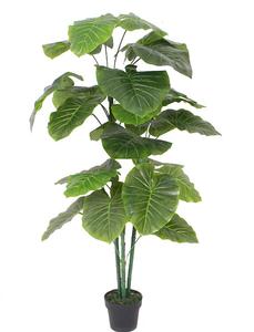 Linwoo thường xanh cây cảnh mô phỏng cao cây khoai môn chậu cây nhà cây bonsai khoai môn cây cho phòng khách trang trí - Product Image 2