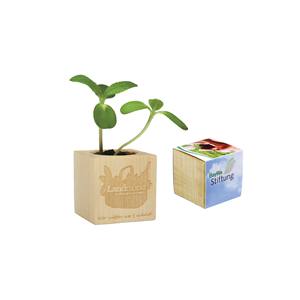 Fioriera Cubo in Legno Landmarkt con Logo Baywa Stiftung per Semenzali - Product Image 1