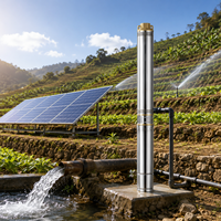 Pompe à eau submersible pour forage FLY OEM ODM 3SDM4/9, 0,37 kW, 0,5 CV, 220 V, 50 Hz, 0,5 CV pour irrigation à faible puissance avec sortie en laiton
