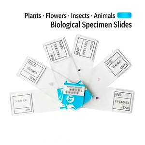 Ensemble de Lames de Microscope Biologique pour les Collégiens, Spécimens de Cellules Animales et Végétales - Product Image 1