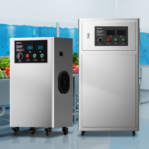 Ozonatore Industriale Commerciale per Acquacoltura 30g 50g 100g 1000g, Generatore di Ozono per Trattamento Acqua, Impianti di Imbottigliamento e Piscine - Product Image 2