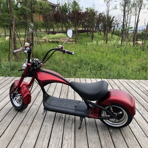 Scooter Eléctrico con Certificación EEC COC Emark, Disponible en Almacén Europeo, Bicicleta de Dos Ruedas Autoequilibrada para Adultos - Product Image 5