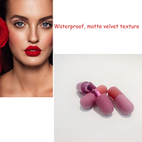 Marque privée 18 couleurs Gloss à lèvres mat hydratant longue durée Mini capsule Maquillage pour gloss à lèvres Rhod