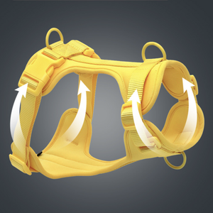 Manufacturer Direct Quality Customizable <b>Dog</b> Walking <b>Harness</b> Leash Set Waterproof PVC Polyester Ribbons Solid Personalized - Product Image 6