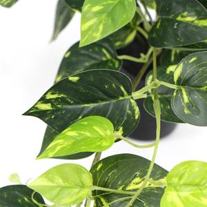 Árbol <span class=keywords><strong>de</strong></span> <span class=keywords><strong>cactus</strong></span> artificial en maceta verde <span class=keywords><strong>de</strong></span> plástico decorativo para interiores y Mini plantas falsas Plantas <span class=keywords><strong>de</strong></span> <span class=keywords><strong>cactus</strong></span> artificiales para la decoración <span class=keywords><strong>de</strong></span> la venta - Product Image 5