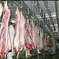 Ligne complète d'abattage de porcs EME, solution tout-en-un, équipement de transformation de la viande de porc pour abattoir, vente chaude