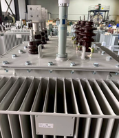 Transformateurs immergés dans l'huile Copper S22-M-1250/10