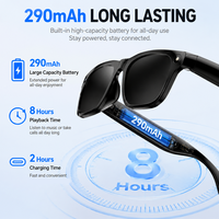 Lunettes Intelligentes OEM/ODM avec Traduction IA, Enregistrement Vidéo 8MP, Reconnaissance d'Objets, Enregistrement Audio, Caméra Étanche IPX-4