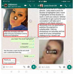 Paleta de maquillaje L63, <span class=keywords><strong>bronceador</strong></span> personalizado y resaltador, resaltador de Etiqueta Privada, maquillaje de etiqueta privada - Product Image 5