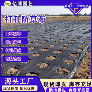 6666 Weed Control Fabric 3m Roll Heavy Duty Black Mulch Film For Garden Ground Cover - Product Image 2