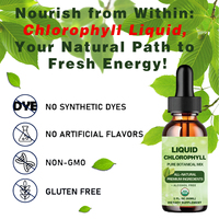 Gouttes de chlorophylle sans sucre OEM Liquid Drops