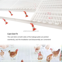 Plancher en plastique de haute qualité pour volailles QA, lattes en plastique pour poulets, plancher en plastique de 120 cm pour élevage avicole