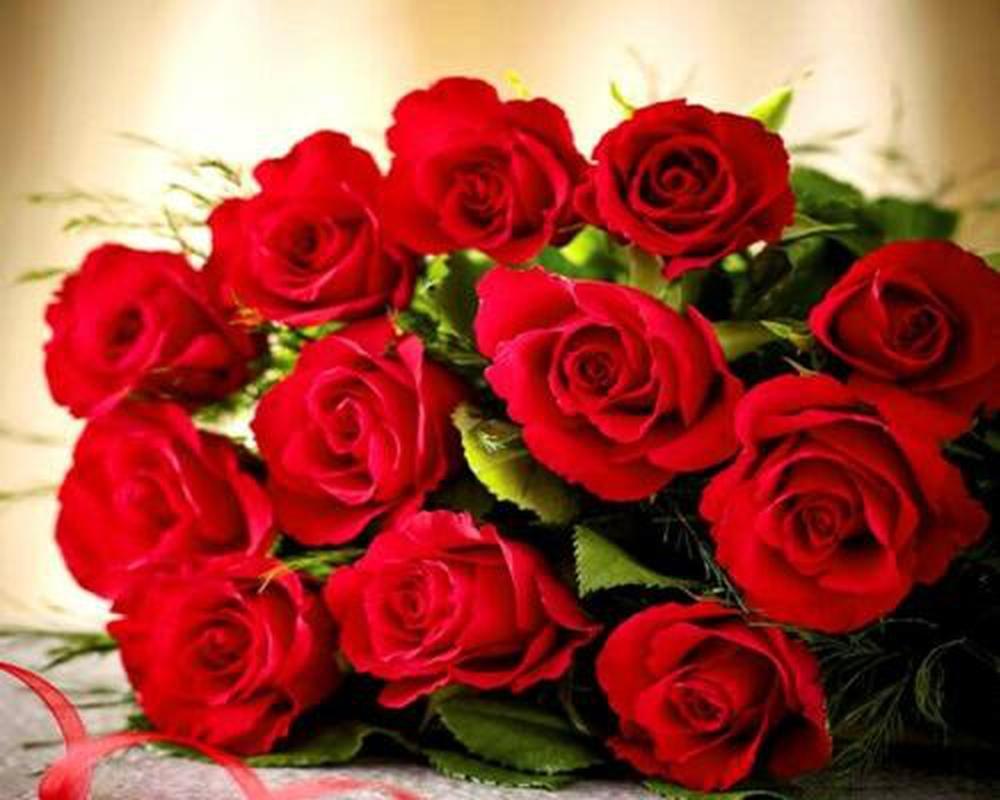 6976 roses