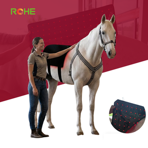 แผงบำบัดด้วยแสงสีแดงสำหรับหลังม้า ROHE ความยาวคลื่น 660 นาโนเมตร และ 850 นาโนเมตร เพื่อการฟื้นฟูกล้ามเนื้อม้าและบรรเทาอาการปวดด้วยแสงสีแดงสำหรับม้า - Product Image 1