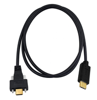 Kabel Data pengisi daya berlapis emas, kabel Data pengisian daya dengan sekrup 10G 5A USB 3.1 tipe-c Male ke USB-C Male
