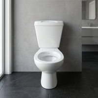 Articles sanitaires WC deux pièces bleu rose avec cuvette et lavabo sur colonne à chasse directe Nigeria Twyford Ghana
