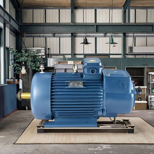 Комплект трехфазного асинхронного двигателя 115/120В 20кВт с программируемым регулятором скорости, класс энергоэффективности IE3, взрывозащищенный, для электросамоката - Product Image 1