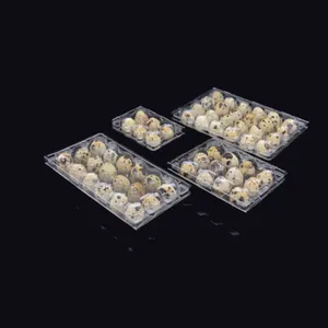Bandejas de huevos de plástico rectangulares transparentes PET de 4 agujeros para huevos de codorniz bandeja de huevos de codorniz de plástico