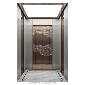 Ascenseurs résidentiels au design moderne en promotion : Ascenseur domestique à traction très apprécié pour la maison - Product Image 1