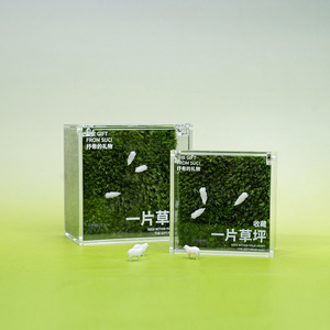 Un césped, un césped privado, un terrario de musgo, una planta verde de escritorio para oficina, una planta en maceta, un regalo, un regalo cultural y creativo - Product Image 4