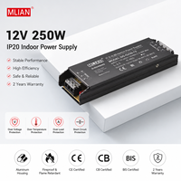 Alimentation électrique pour bande LED fine d'intérieur 12V250W, type de sortie à découpage avec courant de sortie de 30A