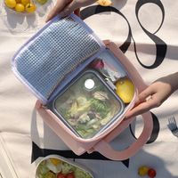 Nouvelle boîte à lunch de conception simple et moderne avec logo de lapin de dessin animé, sac à bento, doublure en aluminium, isolation de conservation de la chaleur/du froid