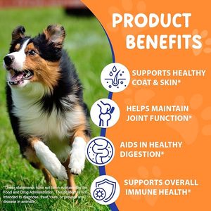 Suplemento Líquido Premium para Mascotas con Logotipo Personalizado, Suplemento para Alergias con una Mezcla Patentada de Hoja de Ortiga para Estimular el Sistema Inmunitario - Product Image 6