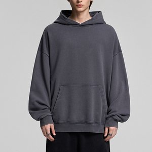 2025 Otoño Invierno nuevo estilo sudaderas con capucha deportivas para hombres ropa de calle pulóver Color sólido Sudadera con capucha con bolsillo 100% algodón - Product Image 1