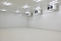 Chambre froide de vente chaude Walk in Freezer Walk in Cooler Walk in Chiller Cold Storage pour la viande