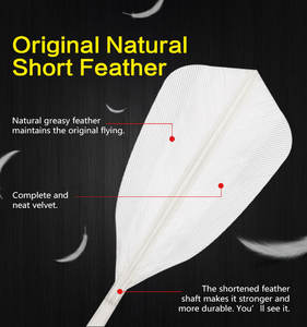 BWF Fabricante Torneio Nível Grade Super Classe Goose Feather Badminton Peteca para Treinamento Profissional Jogador - Product Image 3