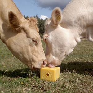 Cloruro de Sodio para Alimentación Animal, Grado Alimenticio 96% de Pureza, Suplemento Mineral para Ganado Vacuno, Ovino y Porcino - Product Image 5