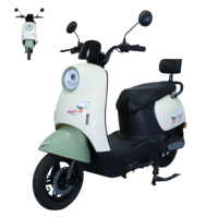 Bici elettrica aperta da strada con pneumatico a 14 250 bicicletta elettrica a 2 ruote con sistema di batterie al piombo