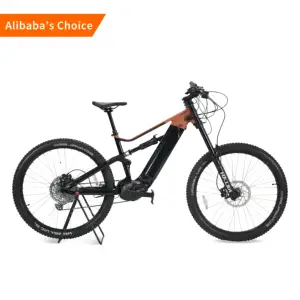 Australia bafang dc mid hub motor fat tire bici elettrica dual 750w 48v ciclomotore stile mountain bike elettrica