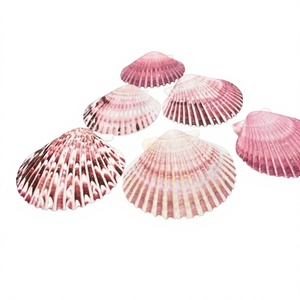 Conchas de vieira limpias y coloridas de Vietnam, conchas marinas naturales para manualidades, joyería, decoración de bodas, centros de mesa y regalos. - Product Image 1