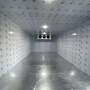 Chambre froide automatique compacte et économique pour entrepôt, équipement de réfrigération écologique - Product Image 3