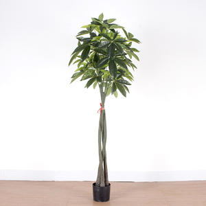 Nuovo modello per interni/esterni decorazione giardino alta Pachira Macrocarpa pianta albero dei soldi in plastica con vaso di cemento artificiale - Product Image 5