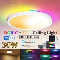 Plafonnier LED intelligent étanche pour salle de bain et cuisine, avec haut-parleur Bluetooth intégré, certifié 24W, argent, diamètre [diamètre à préciser]