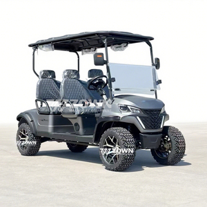 Carrito de Golf Eléctrico de Litio de 48V de Alta Capacidad, Carrocería Personalizada Multicolor, para Transferencia de Huéspedes en Hoteles y Aeropuertos, Buggy de Golf de Ocio - Product Image 6