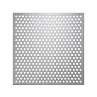 Panneau de treillis perforé galvanisé à chaud, maille ronde de 10 mm, écran de ventilation pour filtre industriel et protection de machine