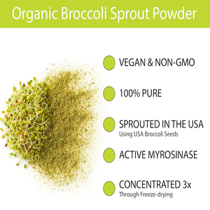 Polvo de brotes de brócoli orgánico de alta calidad, brotes enteros con myrosinasa activa y glucorafanina, suplemento antioxidante - Product Image 6